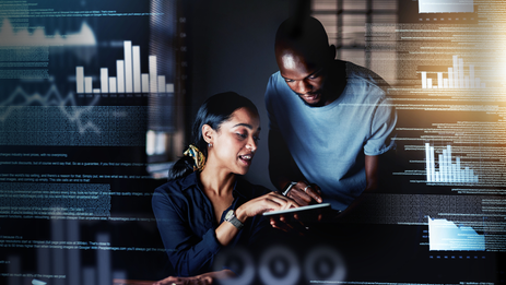 Разработка сайтов на DotPlant