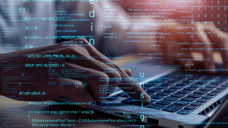 Разработка сайтов на Квестор Админ