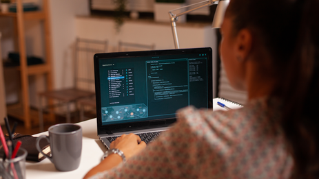 Разработка сайтов на SkeekS CMS