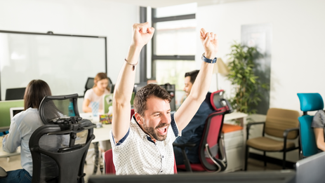 Разработка сайтов на DirektWEB