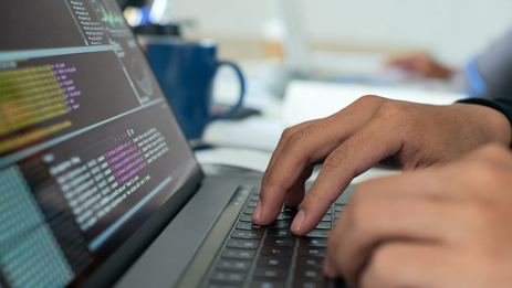 Разработка сайтов на Apollo